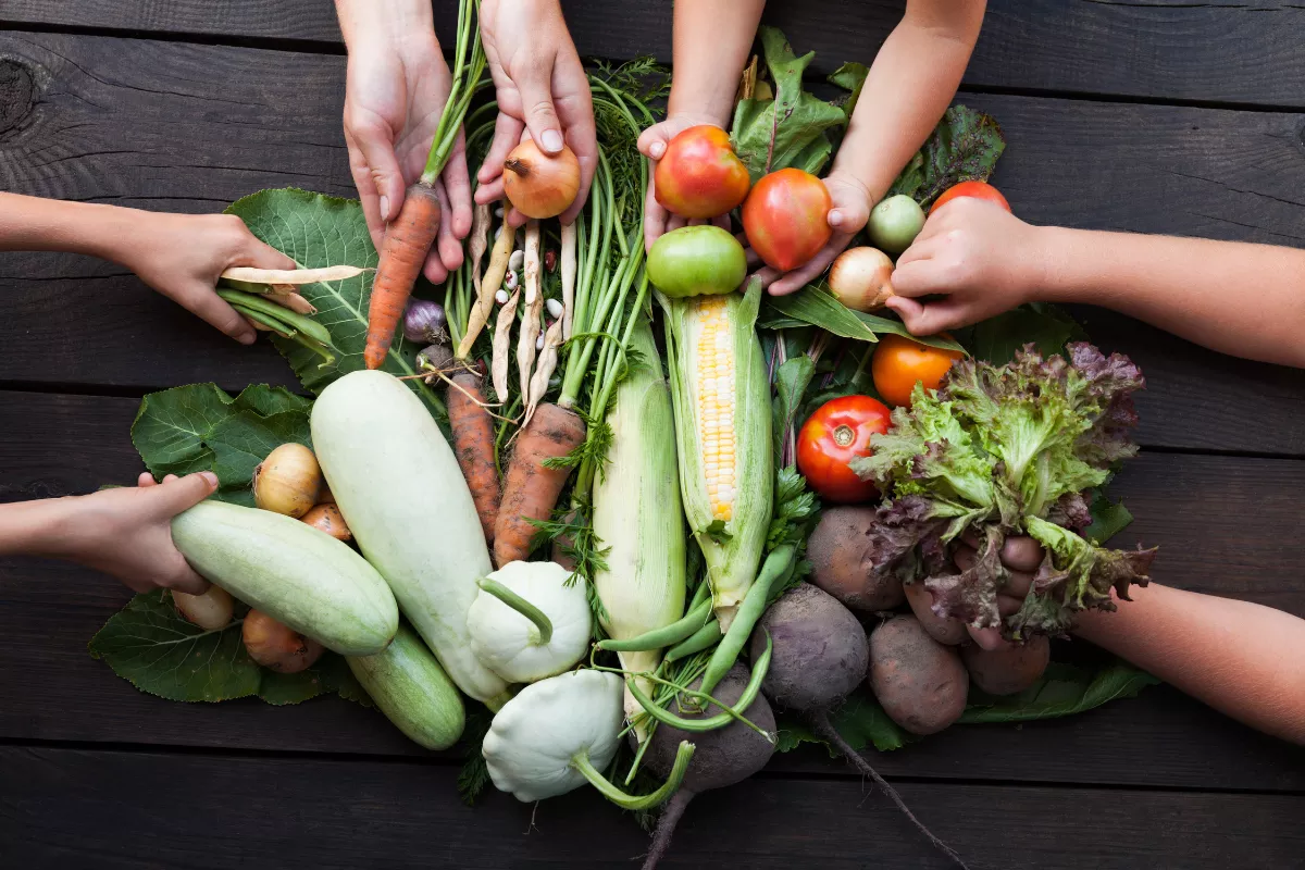 Diversas mãos segurando legumes frescos e orgânicos como cenouras, tomates, beterrabas e alfaces, sobre superfície de madeira escura. Comemora a gastronomia sustentável e incentiva o uso de ingredientes naturais e produção local.