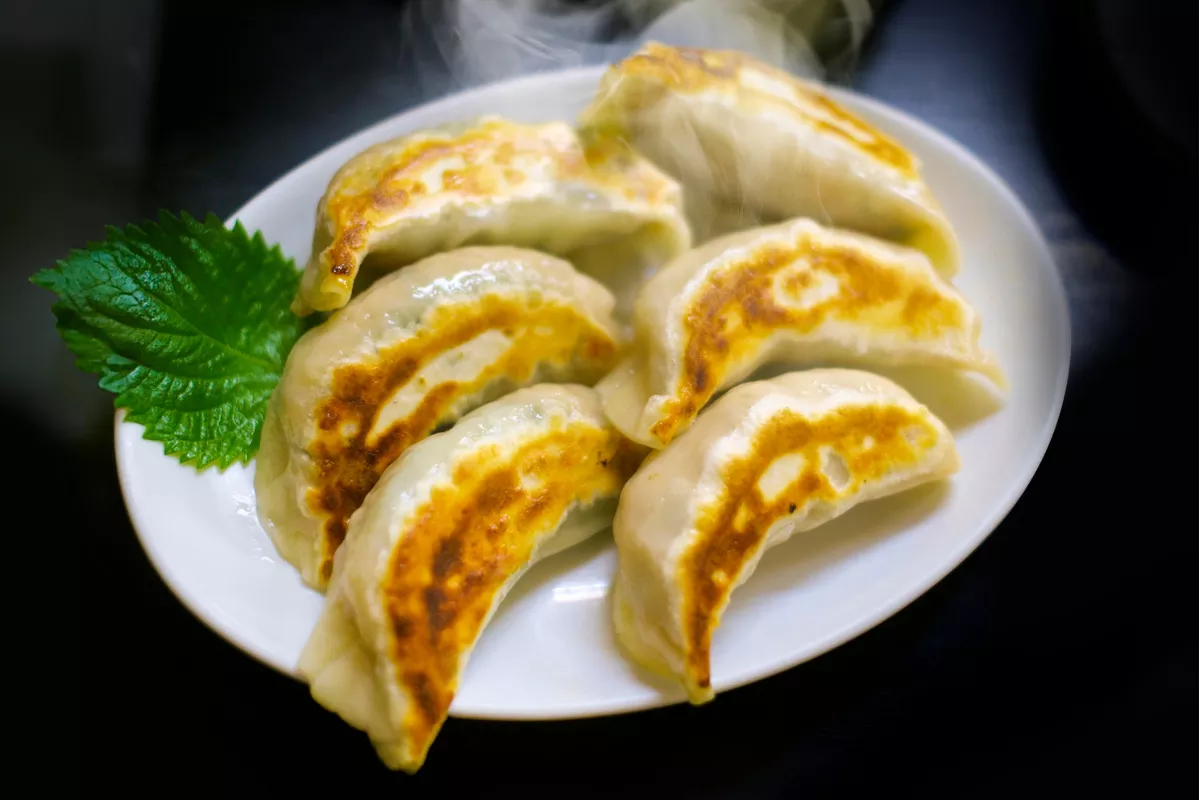 Prato com seis unidades de Guioza (pastel japonês) cozidos no vapor e selados na chapa, exibindo uma base dourada e crocante, servidos quentes com uma folha verde de decoração.